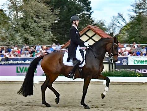 Sönke Rothenberger & 9YO Fendi Win Horses